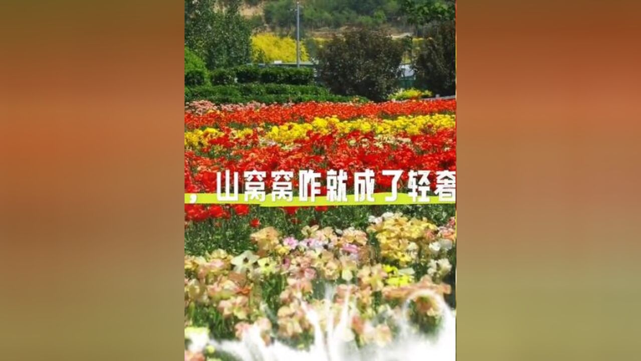 纸坊镇:有农有游,山窝窝怎么就成了轻奢度假区?|探“先”山东