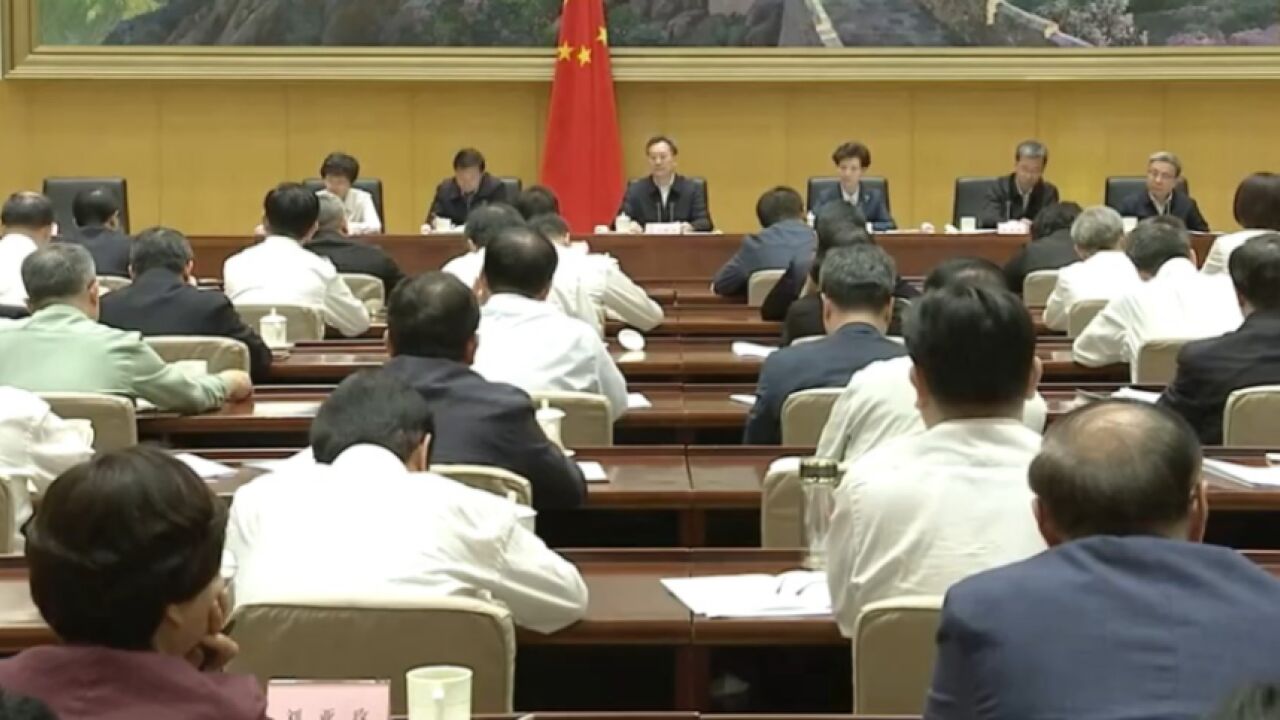 5月14日,丁薛祥出席全国高校毕业生等青年就业创业工作视频会议