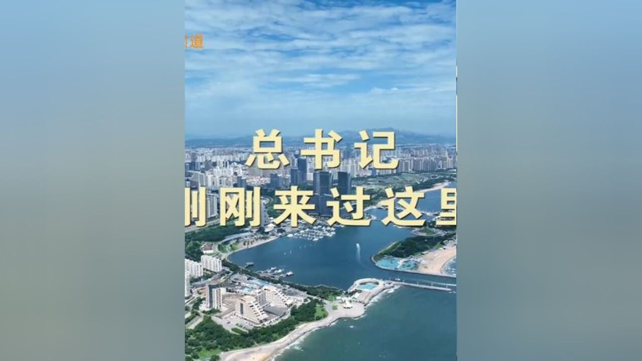 总书记刚刚来过这里 建设智慧化绿色化港口,底气更足、信心更强!