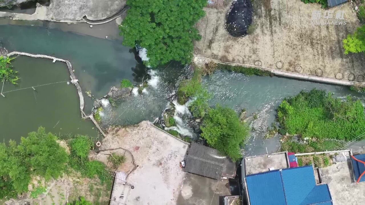 新华全媒+丨可爱的乡村——“亿元村”的初夏图景