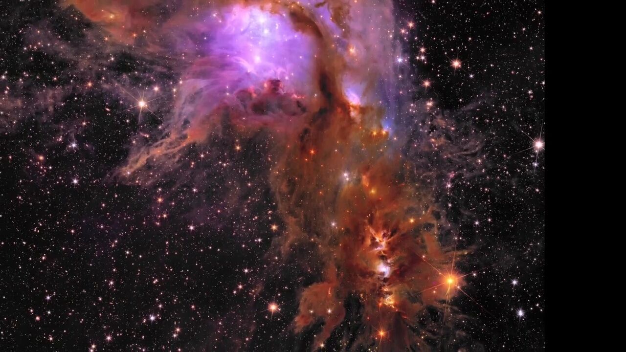 由Euclid拍摄,M78超美的宇宙酷图