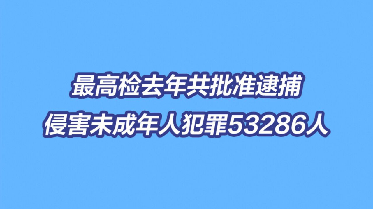 最高检去年共批准逮捕侵害未成年人犯罪53286人