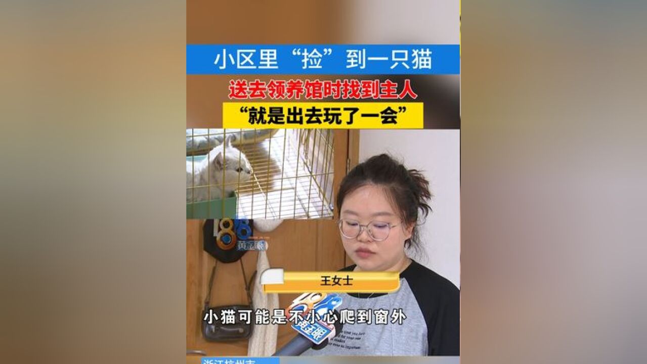 小区“捡”到一只猫,刚花了钱准备送领养馆,主人出现了:它就是出去玩一会,就被抓了