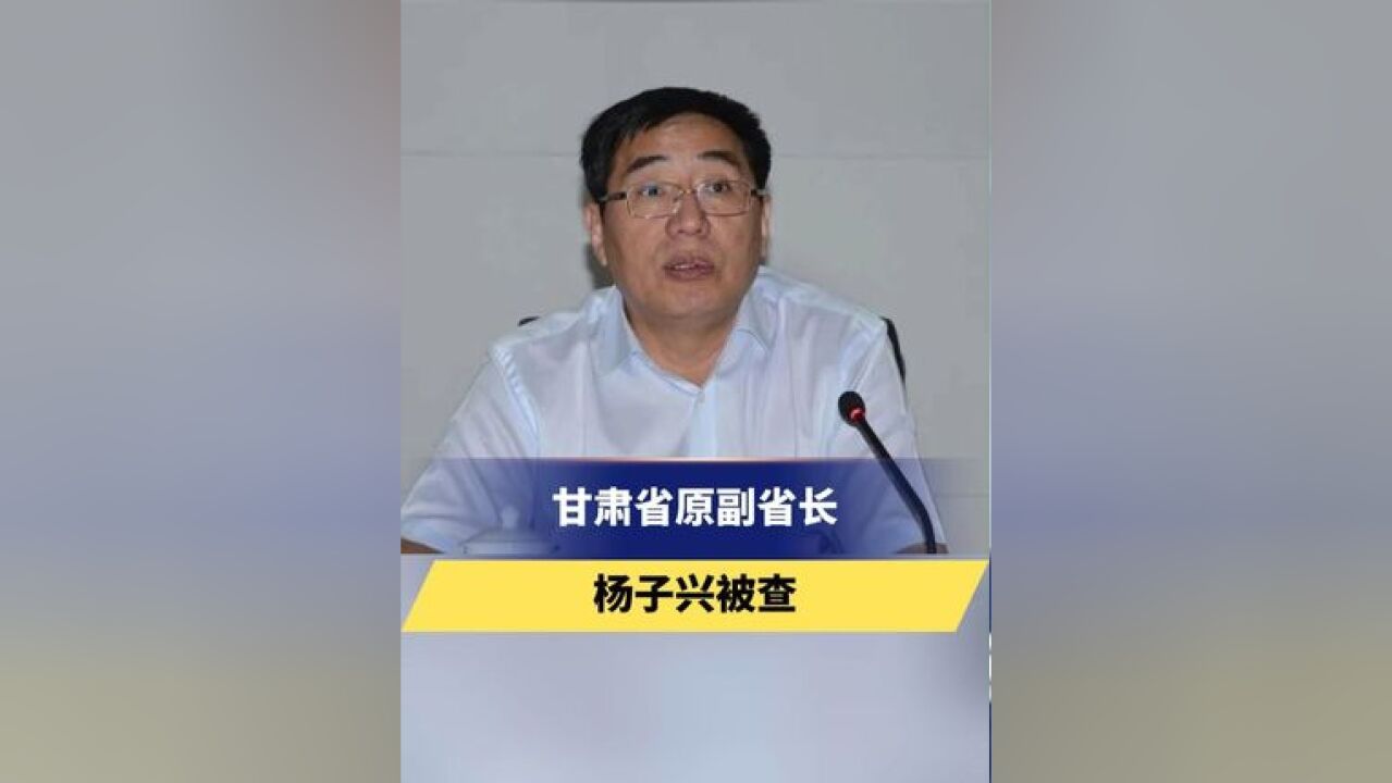 甘肃省原副省长杨子兴被查