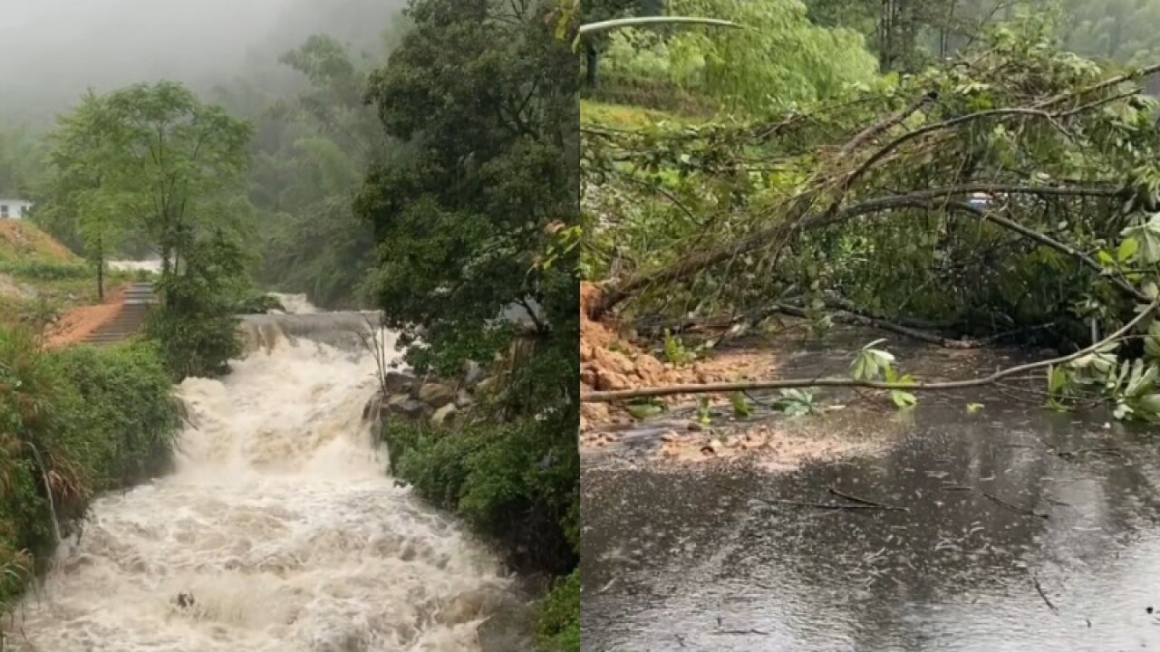 武功山景区因暴雨暂停开放,工作人员:雨已停,明日是否开放要看天气情况