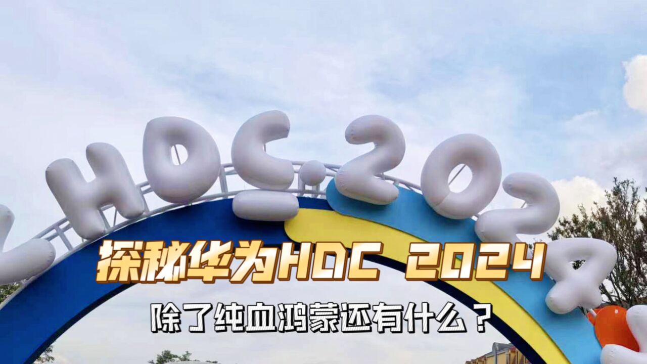 探秘HDC 2024,除了HarmonyOS NEXT 还有什么?