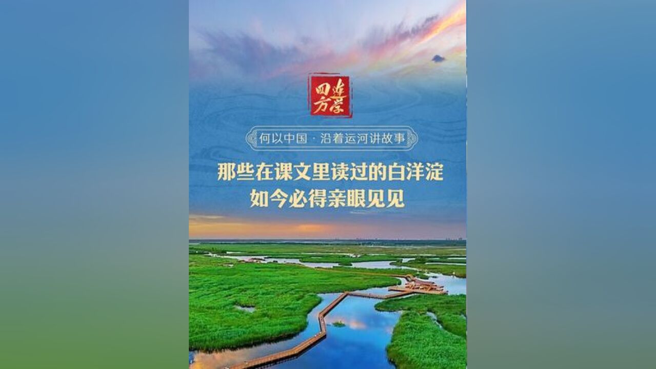 何以中国ⷦ𒿧€运河讲故事 那些在课文里读过的白洋淀 如今必得亲眼见见