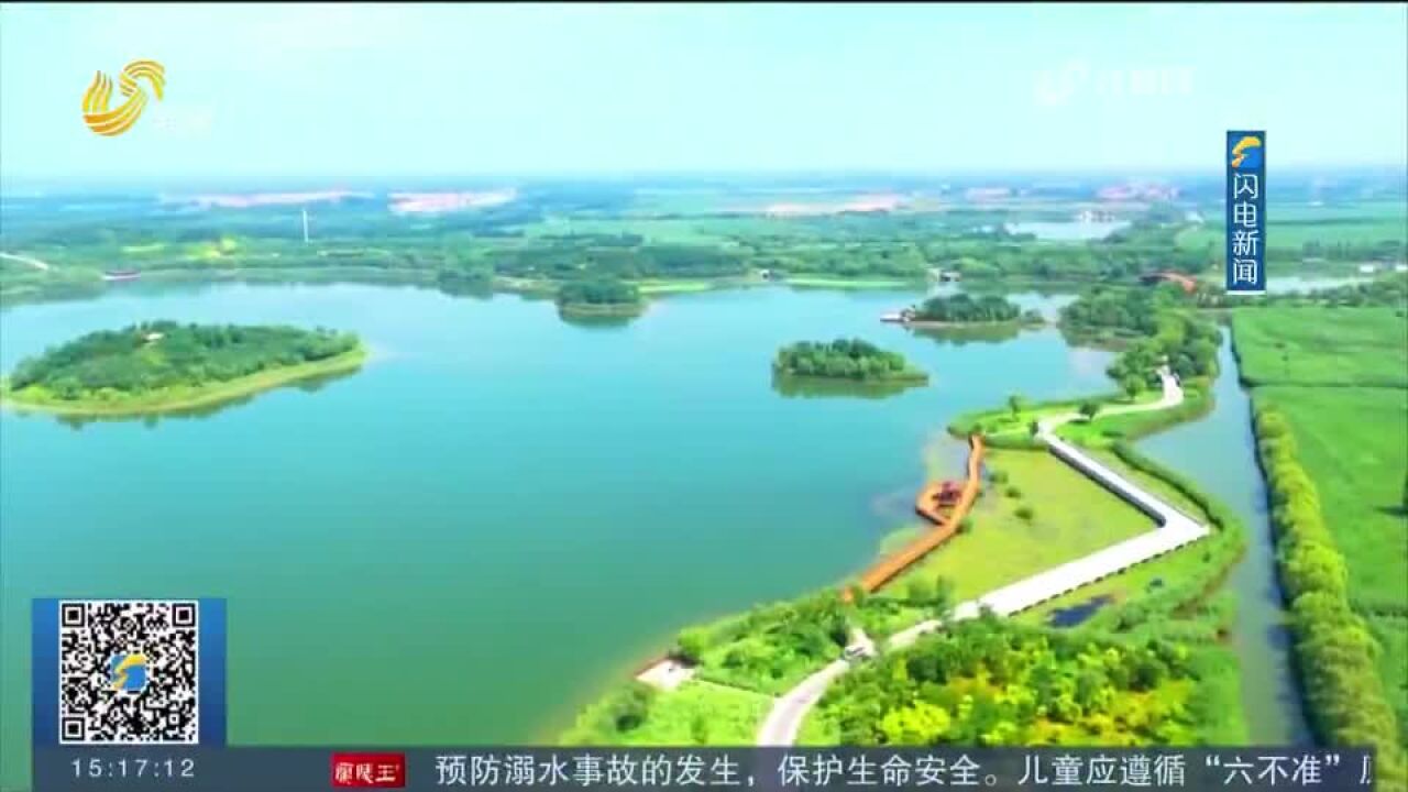 【夏日经济观察】马踏湖:水清藕甜产业兴