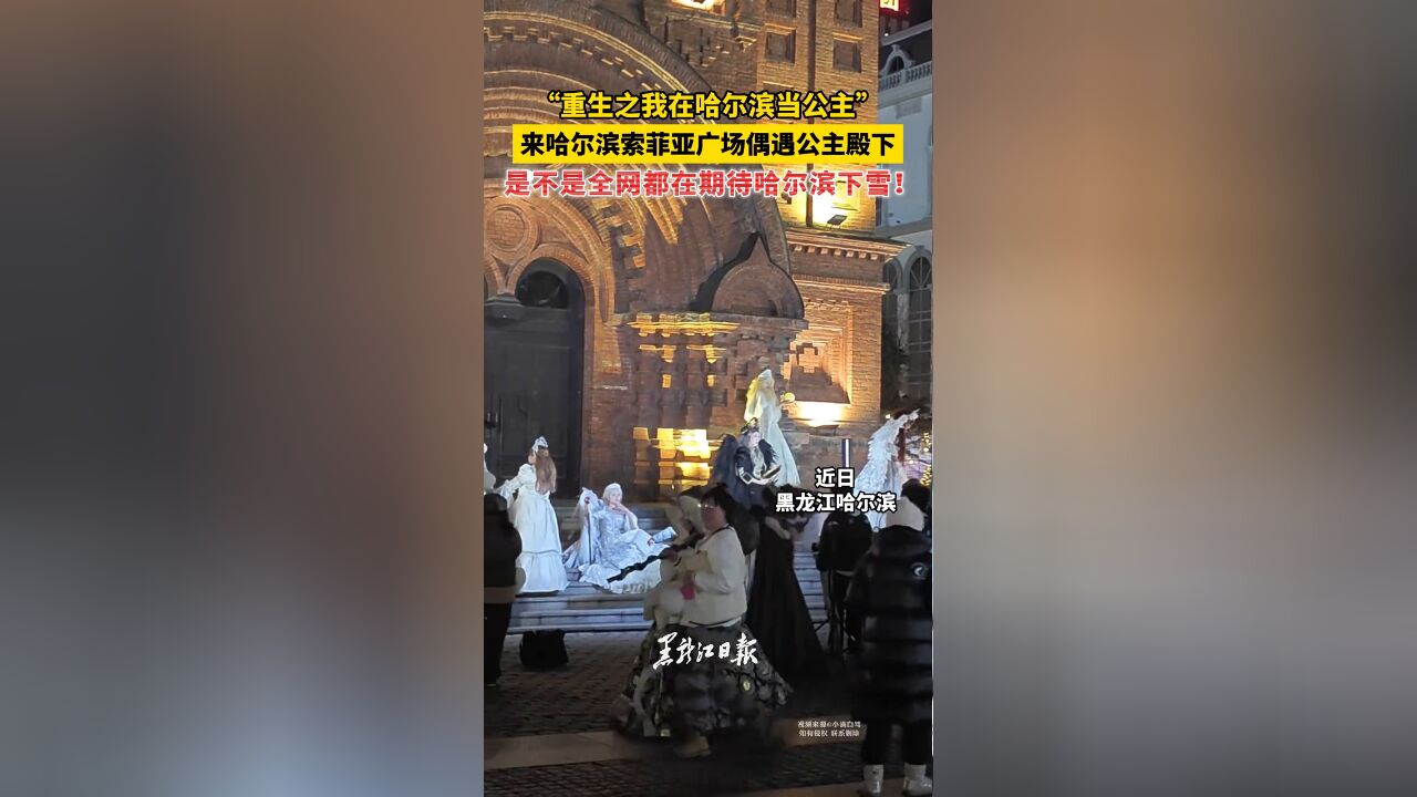 “重生之我在哈尔滨当公主” 是不是全网都在期待哈尔滨下雪