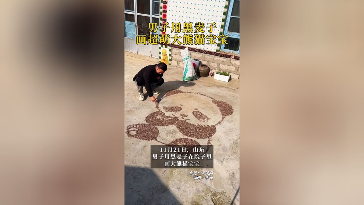 男子用黑麦子画超萌大熊猫宝宝