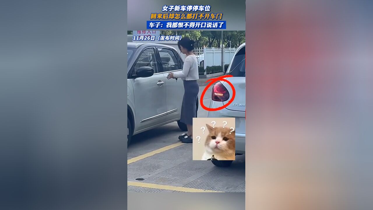 女子新车停停车位,回来后却怎么都打不开车门