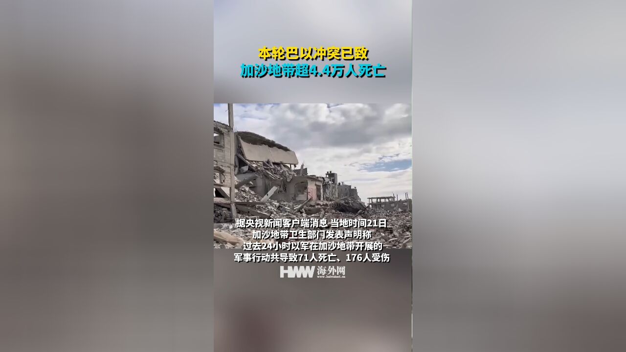 本轮巴以冲突已致加沙地带超4.4万人死亡