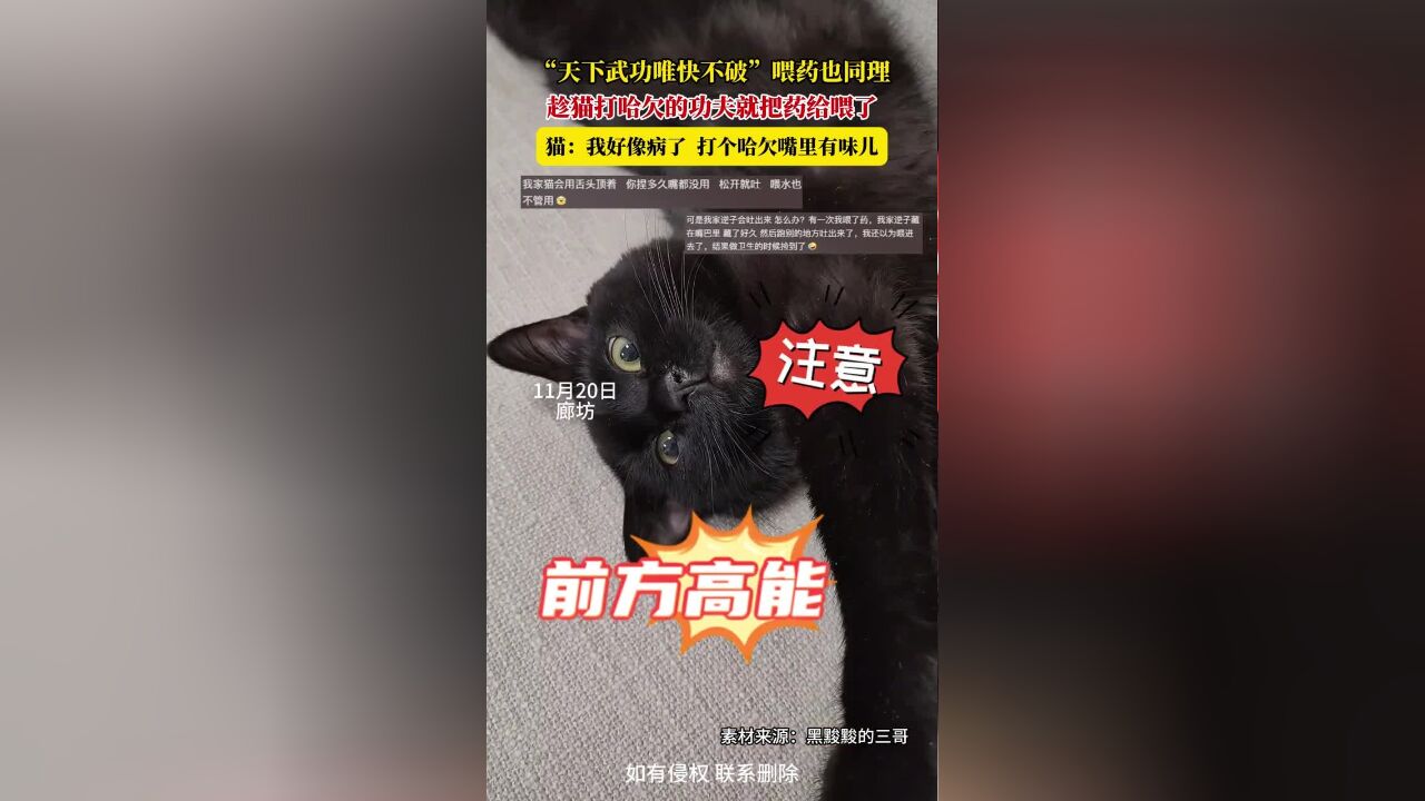 “天下武功唯快不破”,喂药也同理,趁猫打哈欠的功夫就把药给喂了,猫:我好像病了,打个哈欠嘴里有味儿