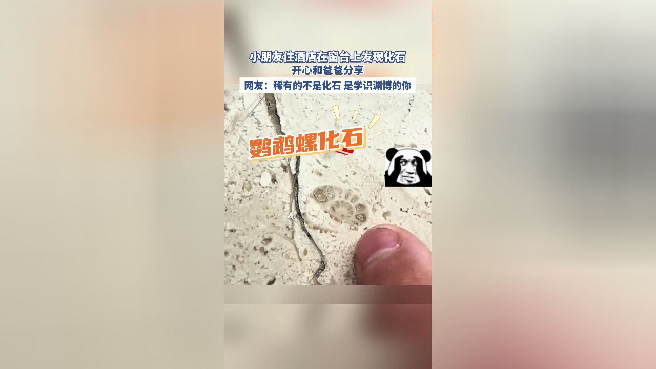 小朋友住酒店在窗台上发现化石,开心和爸爸分享,网友:稀有的不是化石 是学识渊博的你