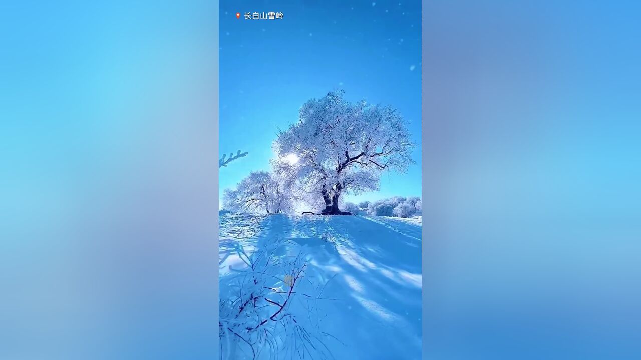 雪国来信吉刻出发丨这个冬天有吉吉陪你过!