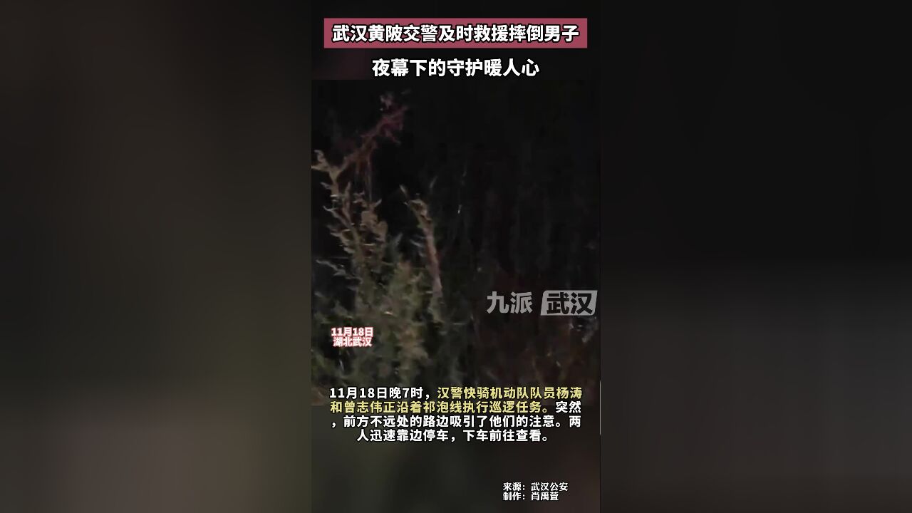 武汉黄陂交警及时救援摔倒男子,夜幕下的守护暖人心