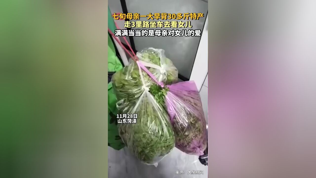 七旬母亲一大早背30多斤特产,走3里路坐车去看女儿,满满当当的是母亲对女儿的爱!