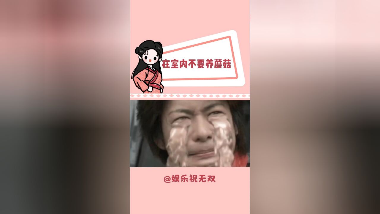 在家里不要养蘑菇啊