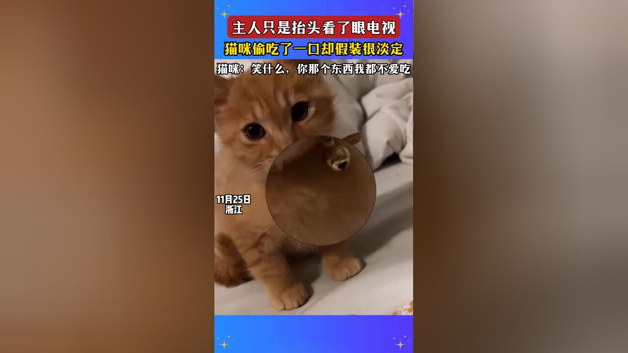 主人只是抬头看了眼电视,猫咪偷吃了一口却假装很淡定