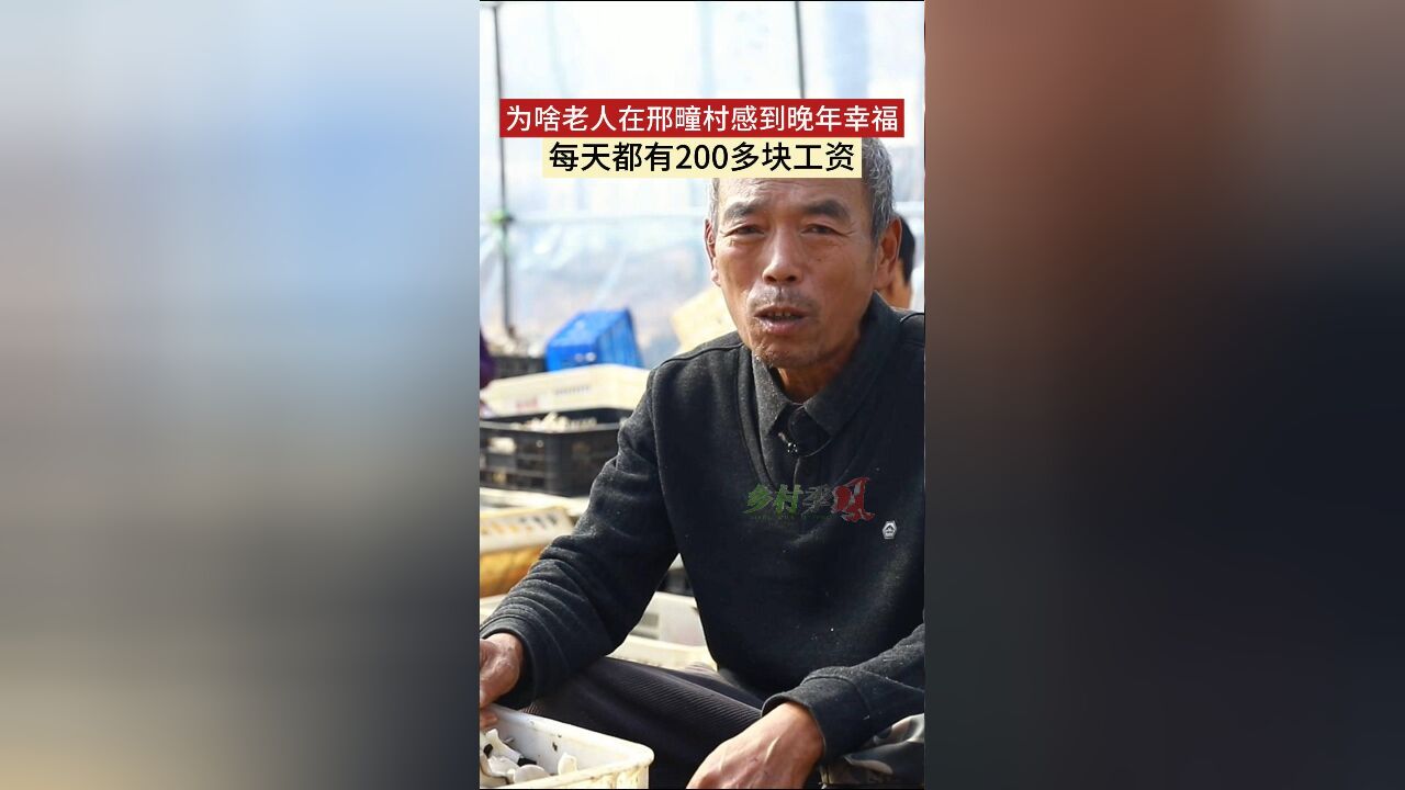 为啥老人在邢疃村感到晚年幸福 每天都有200多块工资