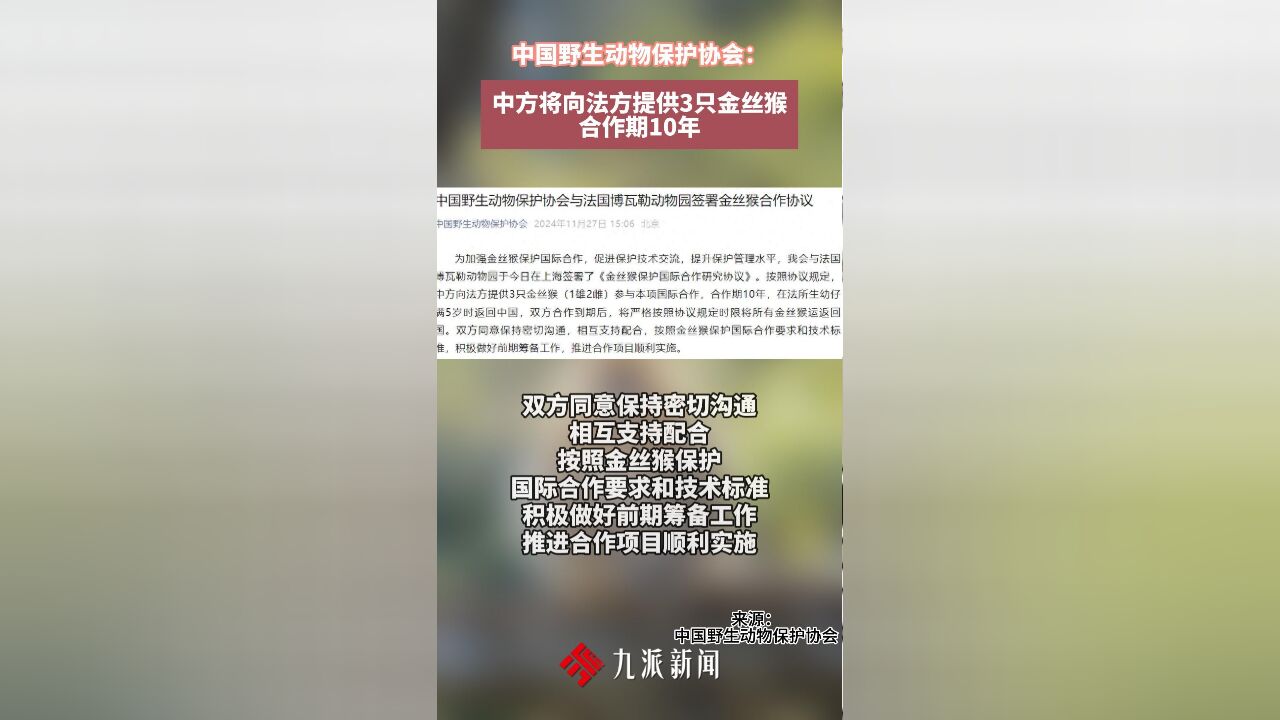 中国野生动物保护协会:中方将向法方提供3只金丝猴,合作期10年