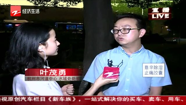 网鱼电鱼危害多 杭州开展专项整治