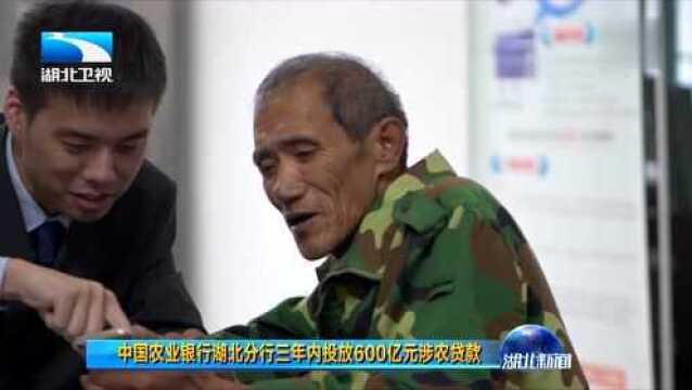 中国农业银行湖北分行三年内投放600亿元涉农贷款