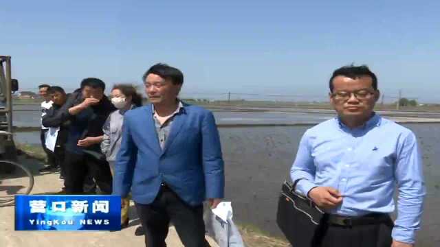 我市启动水稻机插秧技术“田间日”活动