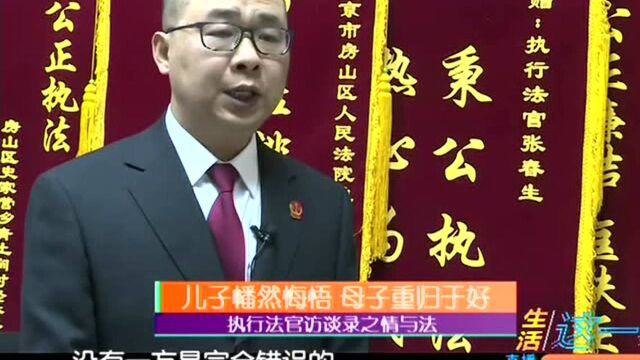 母亲告儿子返还欠款 法院执行遇阻 执行法官访谈录之情与法