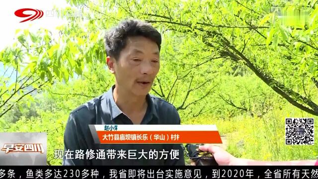 四川主播边界行(二十二) 达州大竹县:念好“人才经”看华山村的华丽蜕变