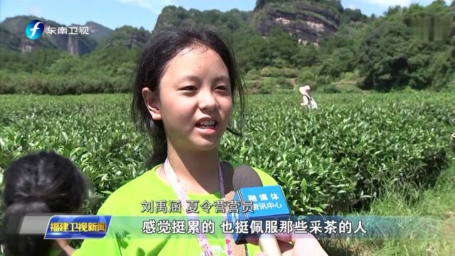 壮丽70年ⷥ勦–—新时代——县域改革进行时 武夷山:从8个百分点看旅游产业升级