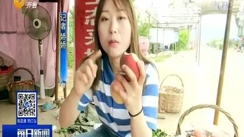 记者调查：桃子丰收之后（二）