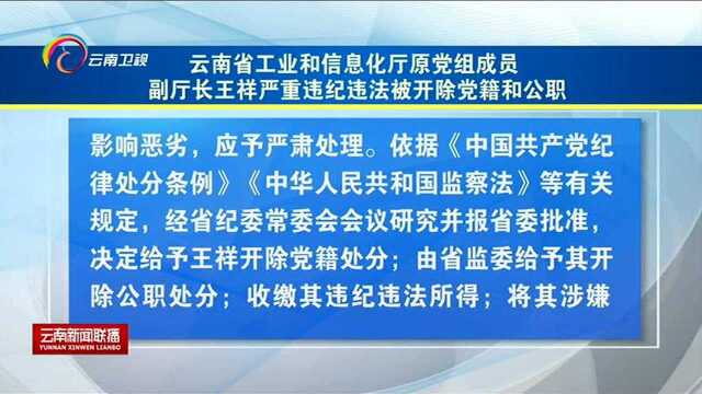 云南省工业和信息化厅原党组成员副厅长王祥严重违纪违法被开除党籍和公职