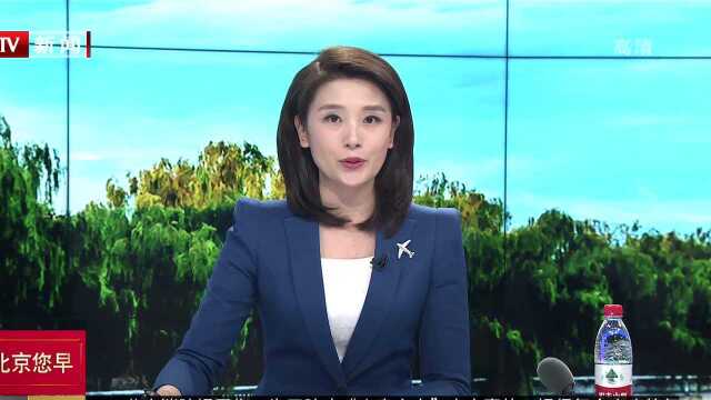 从故宫文化出发“中纹之美”助力传统纹饰“活”起来