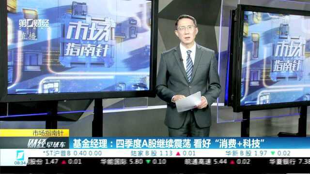 基金经理:四季度A股继续震荡 看好“消费+科技”