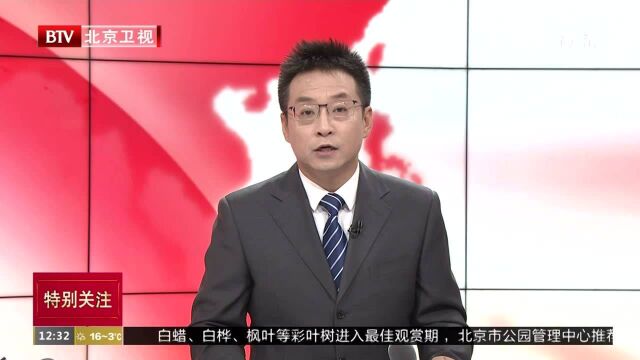 四大婚恋网站立自律公约 规范网恋交友行业