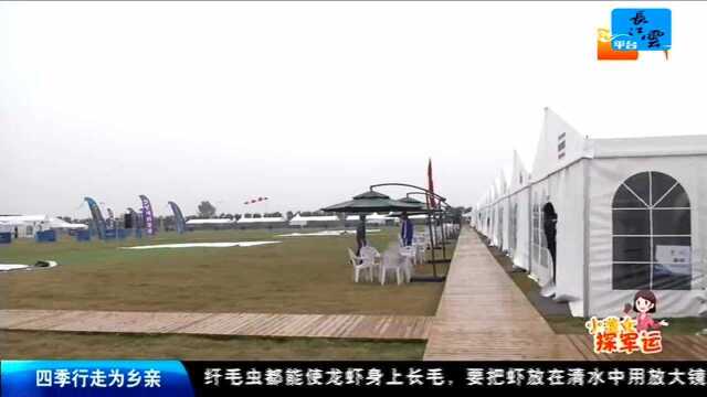 “军运会”为媒 武汉通用航空产业即将腾飞