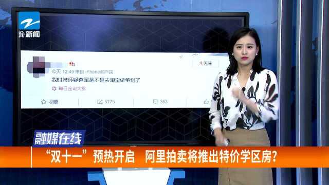 “双十一”预热开启 阿里拍卖将推出特价学区房?