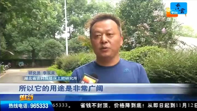 蚯蚓养殖门槛低 想赚钱还得多学习