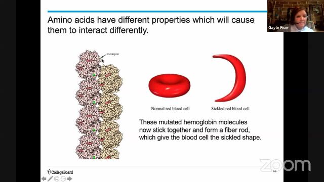 AP Biology 7.2 Natural Selection