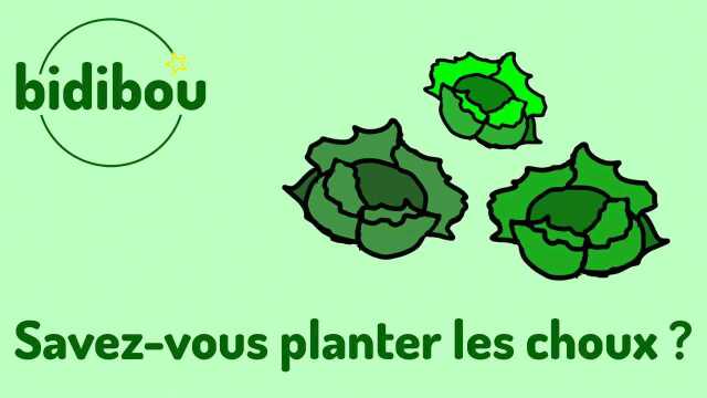 Savezvous planter les choux ?