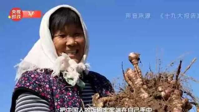 习近平山东行丨盐碱地上的绿色梦想——走进黄三角农高区