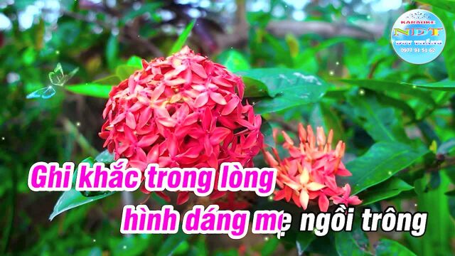 Ng氡𛝩 Mẹ Của T㴩  Tone Nữ