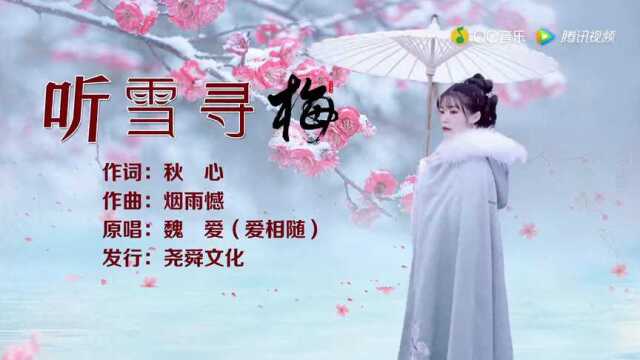 听雪寻梅