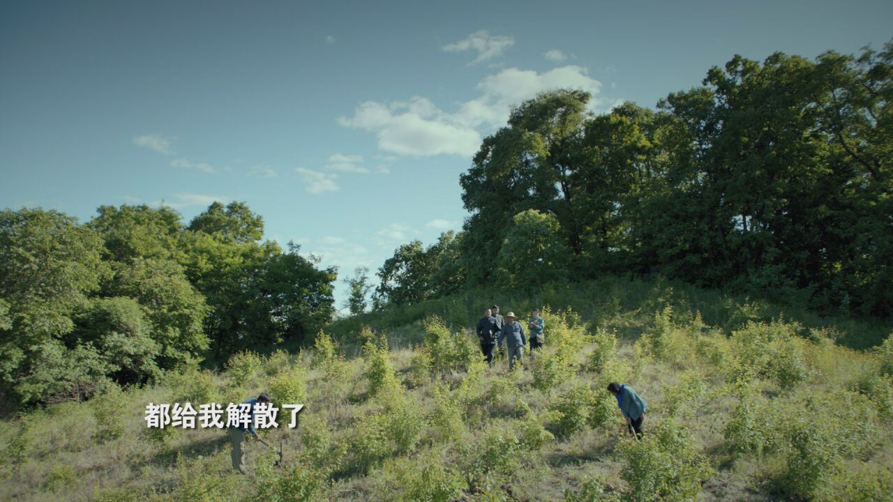 《青山不墨》第19集精彩看点