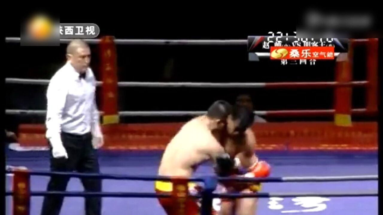 中国真功夫 杨雨vs丹尼斯