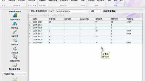 SEO网站优化-历史收录