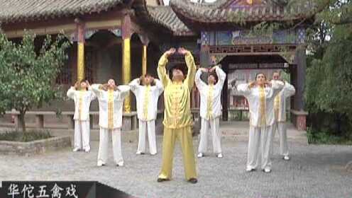 《功夫课堂》华佗五禽戏猿戏4（播出版） - 腾讯视频