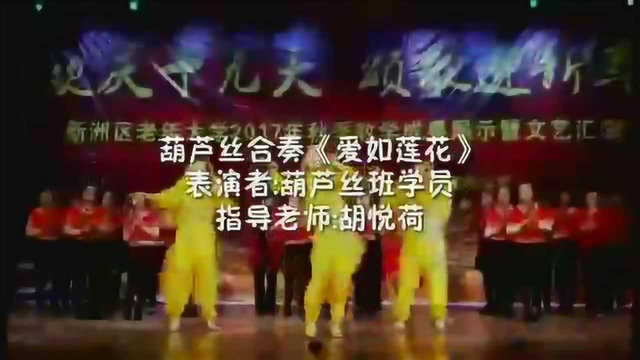 葫芦丝合奏《爱如莲花》