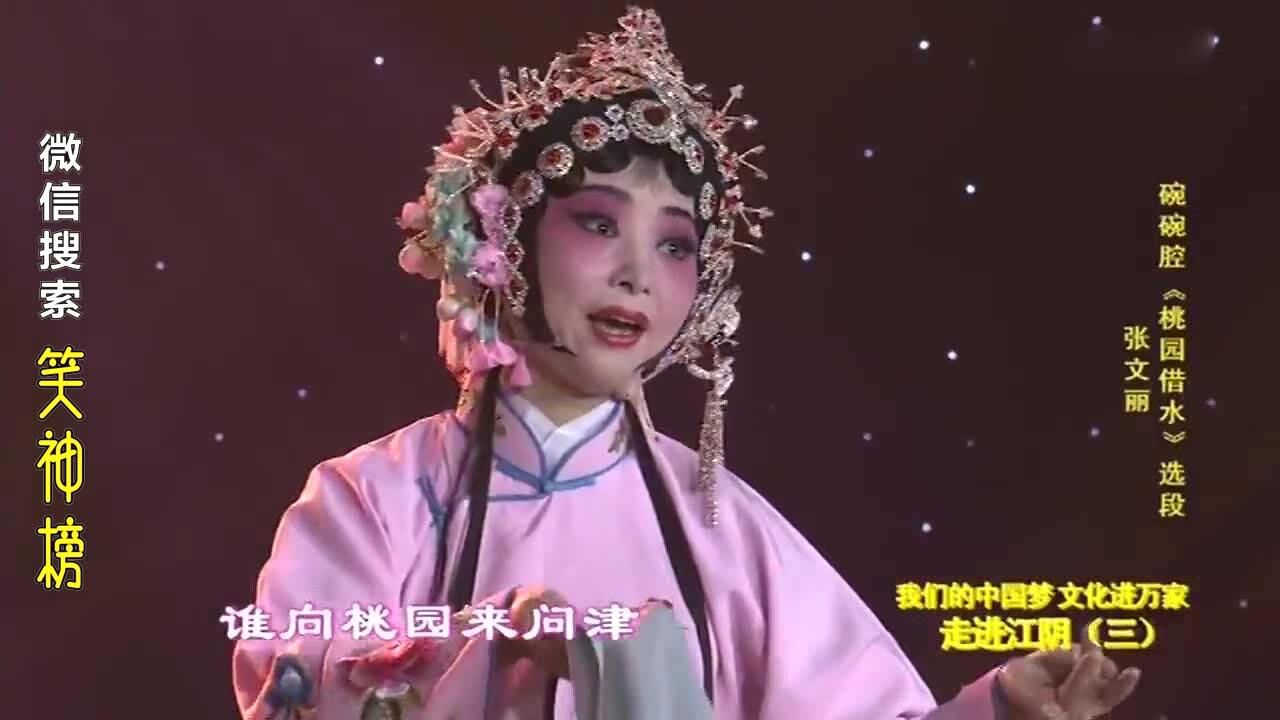 碗碗腔《桃园借水》选段 表演:张文丽_高清1080p在线观看平台_腾讯